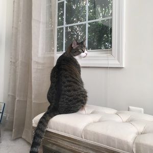 Meet your Posher, Anna